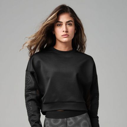 Mesh Insert Long Sleeve Crop Sweatshirt