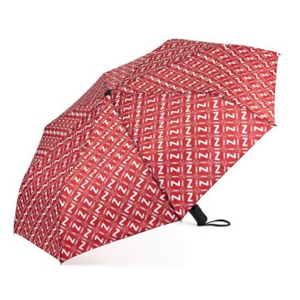 Zumba Umbrella 