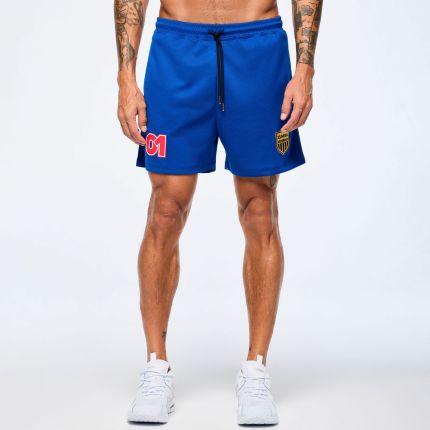 Victory Men's Mesh Shorts With Inserts